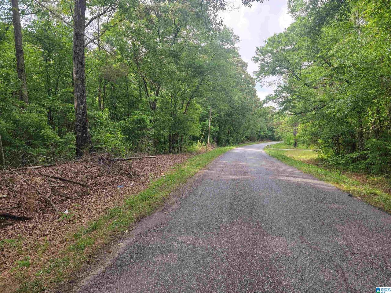 2+/ Acres County Road 75 - Photo 1