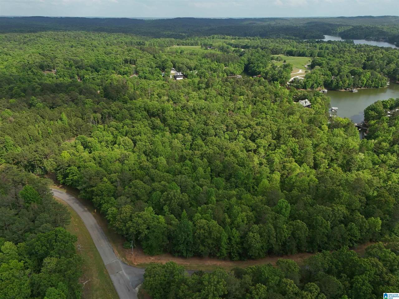 lots 125 Red Cedar Drive - Photo 1