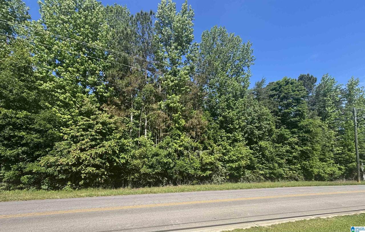 0 Springville Boulevard - Photo 1