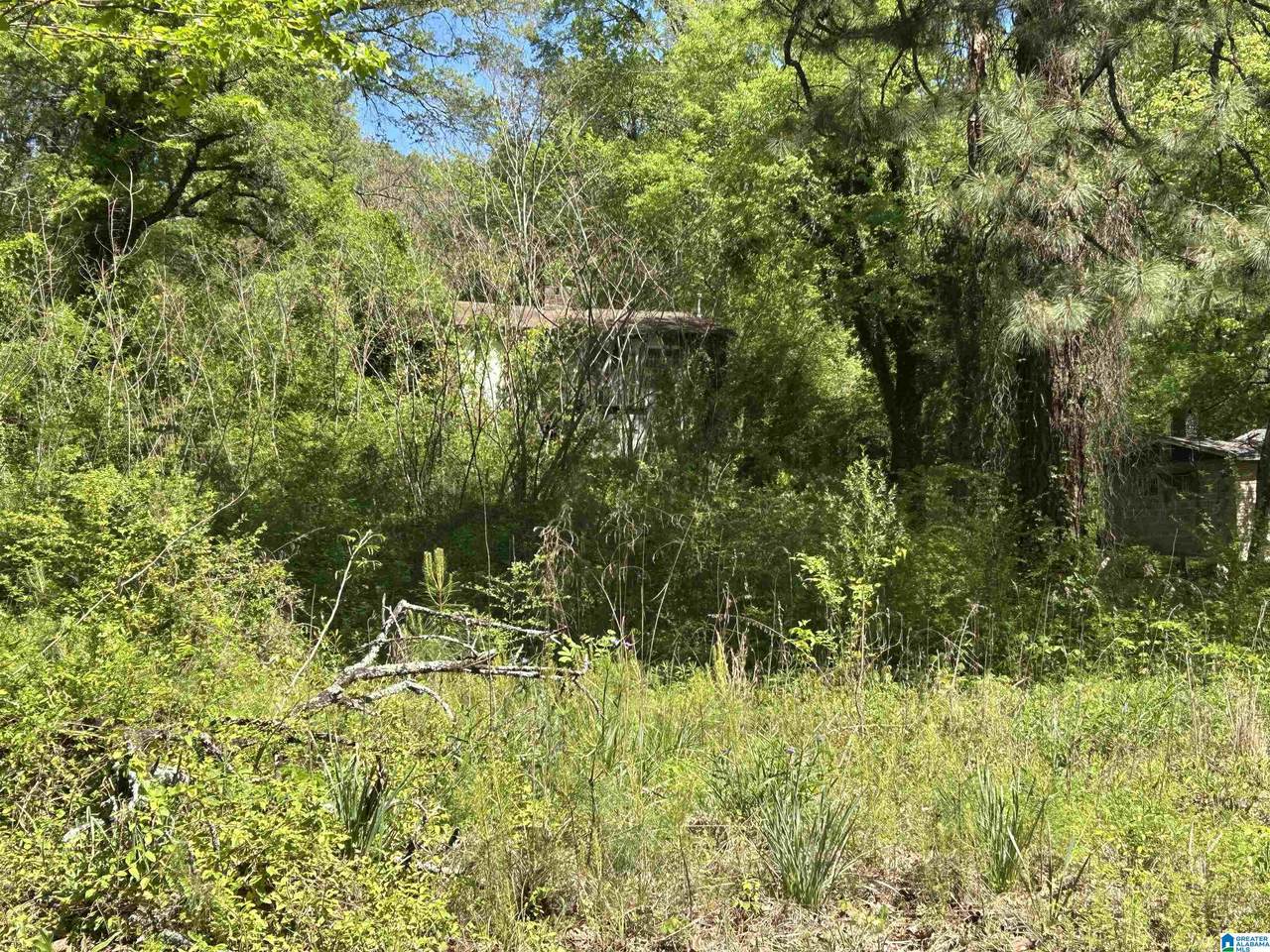 452 Lawson Road - Photo 1