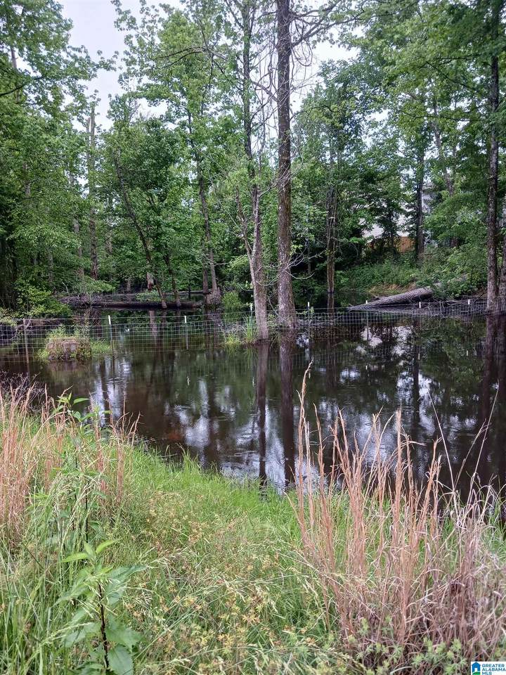 1991 Nixon Road - Photo 1