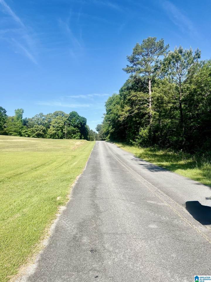 940 County Road 174 - Photo 1