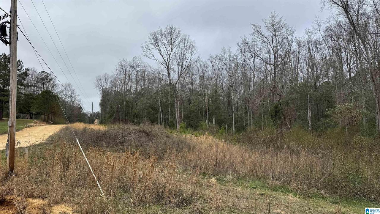 2187 County Road 340 - Photo 1
