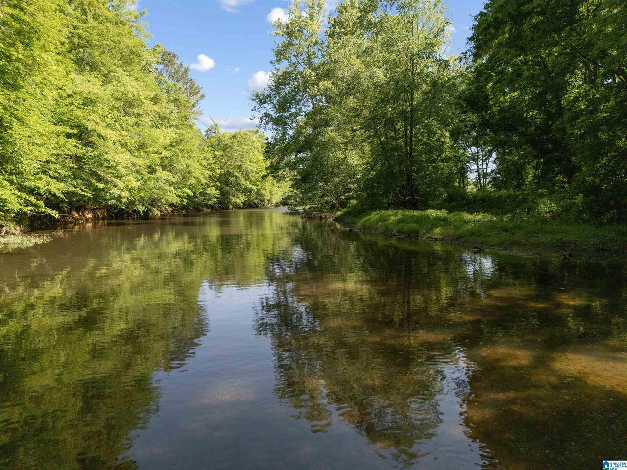 13 Acres County Road 175 - Photo 1
