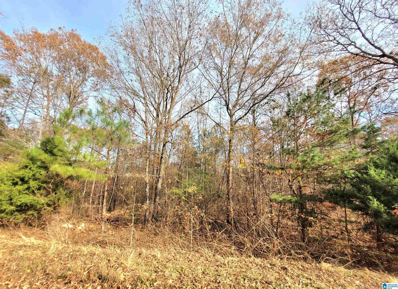 00 Rolling Hills Lane - Photo 1
