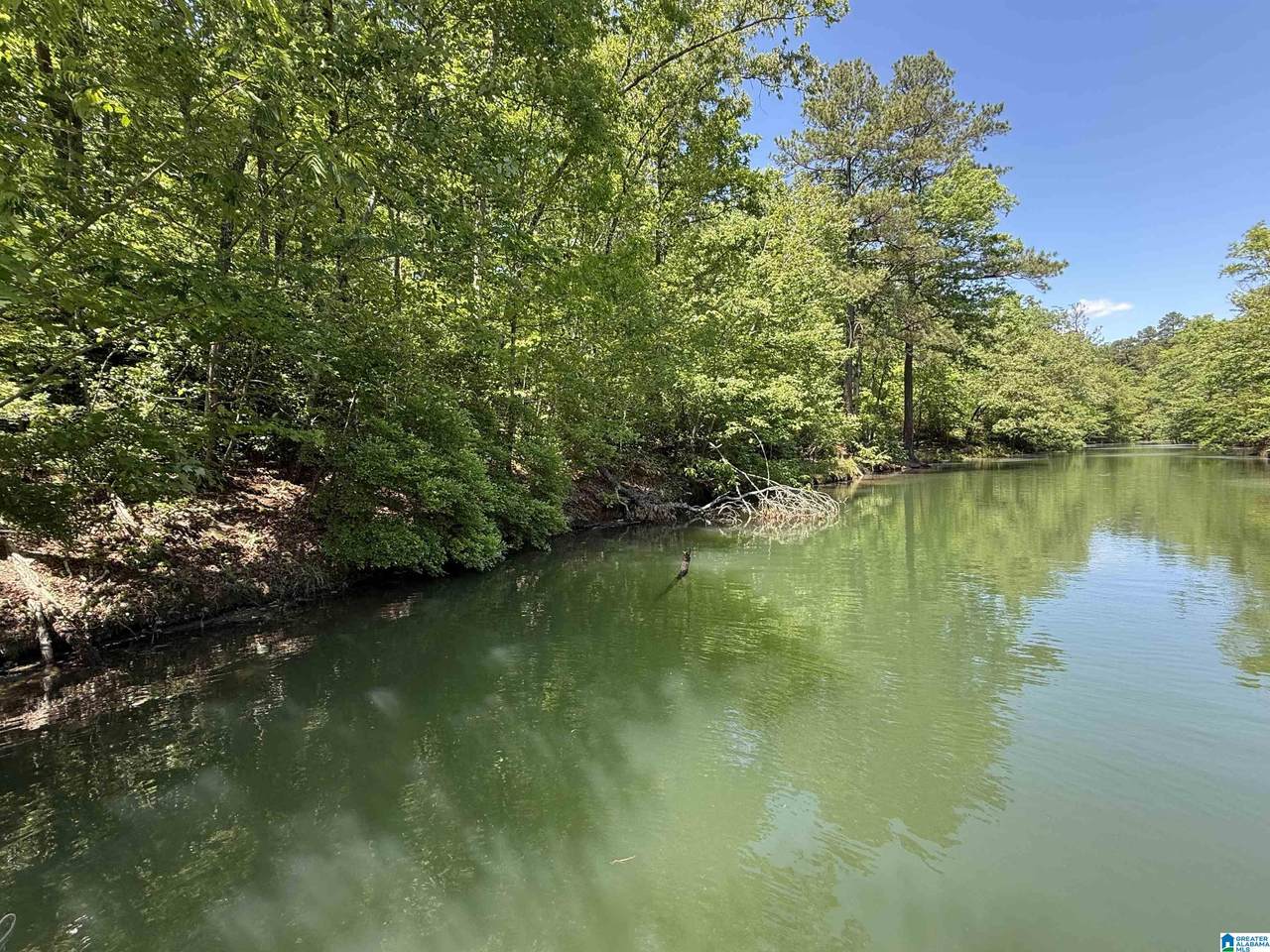 LOT 8 Winding Creek Lane - Photo 1