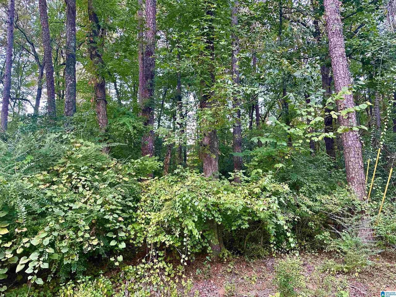 237 Sam Pate Drive - Photo 1