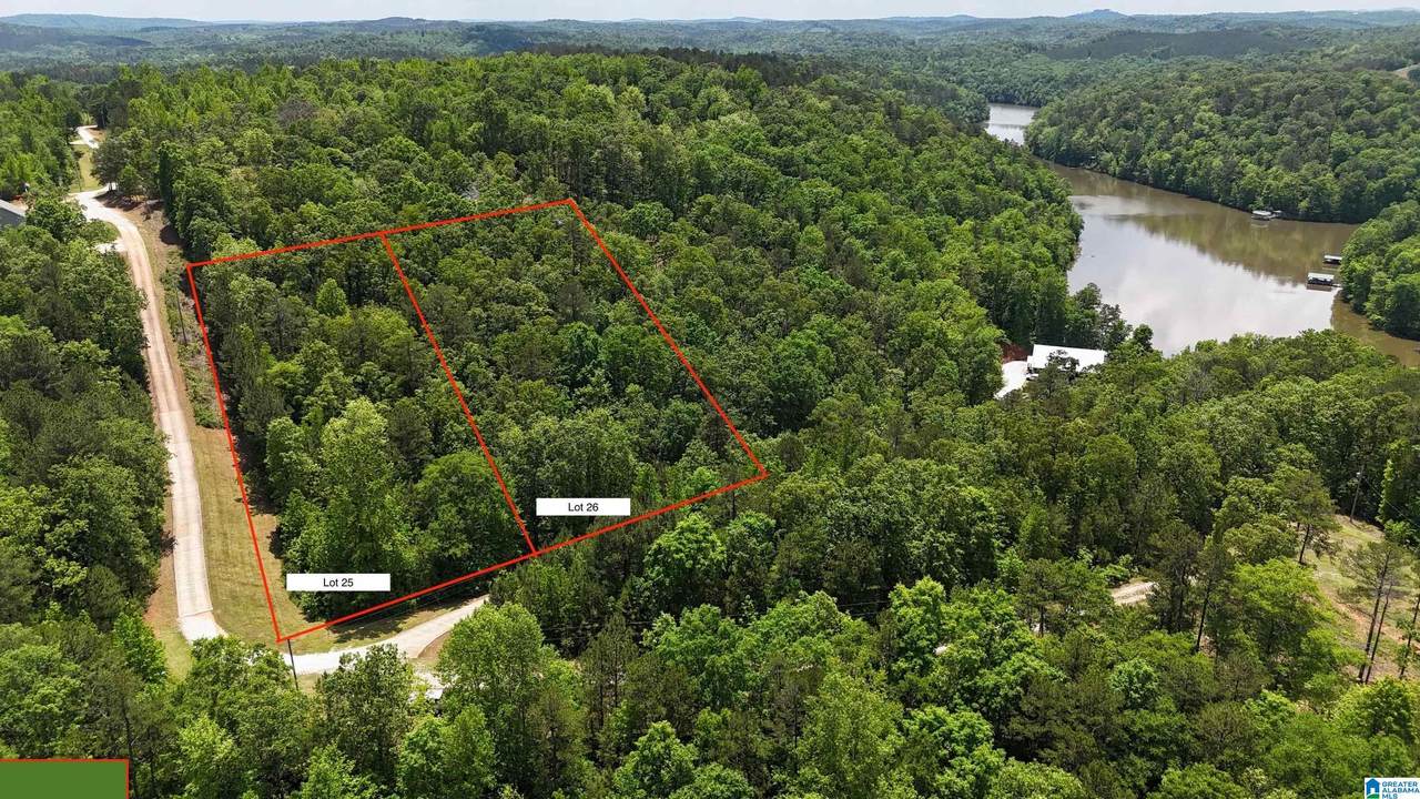 Lot 25 Sawyer Boat Ram Road - Photo 1