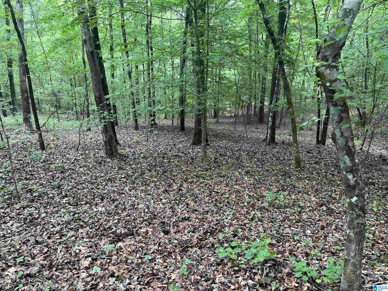 0 Gilmer Avenue - Photo 1