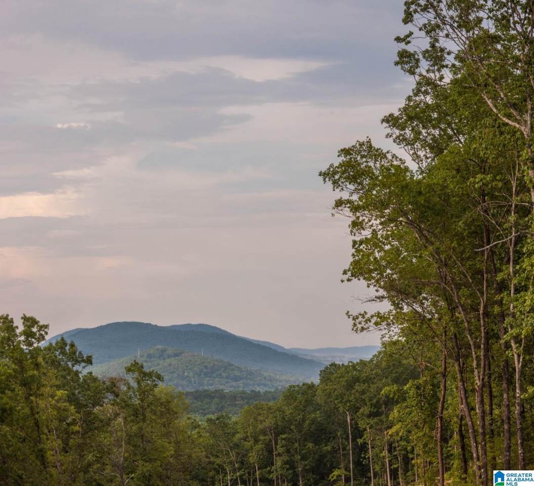 2024 Lindsay Lane - Photo 1
