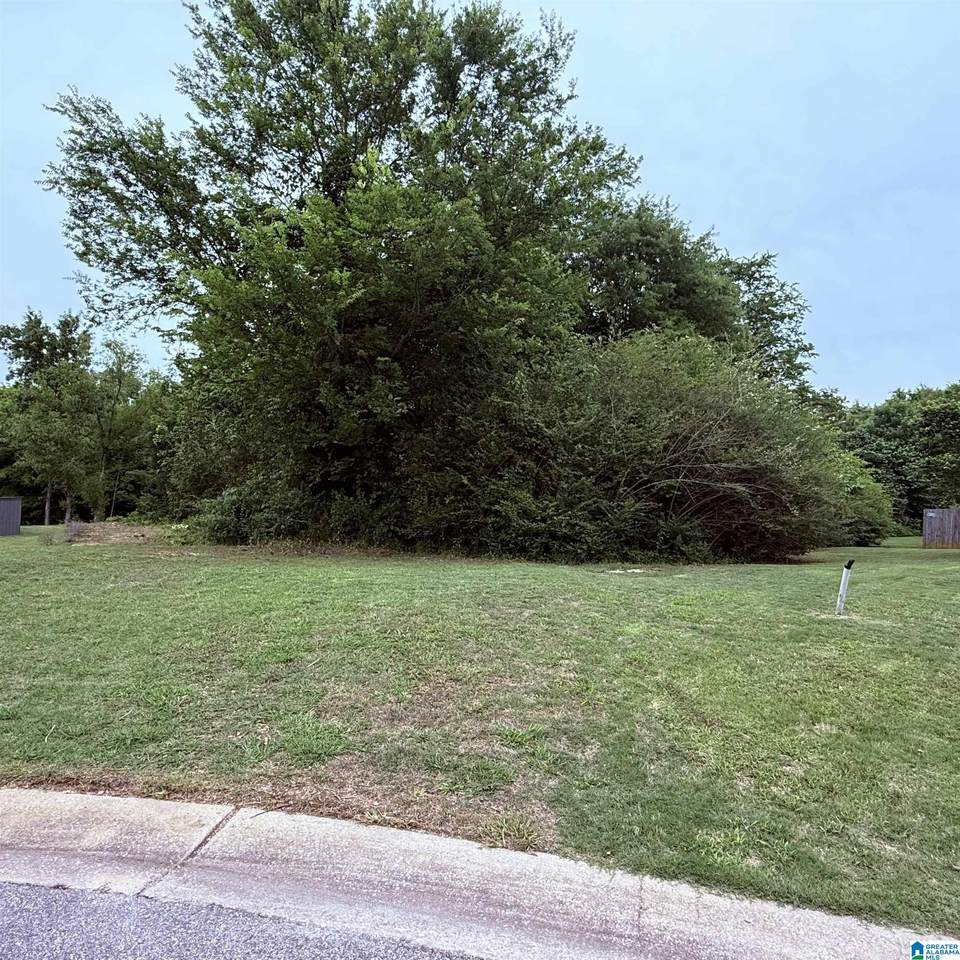 156 Patriot Park - Photo 1