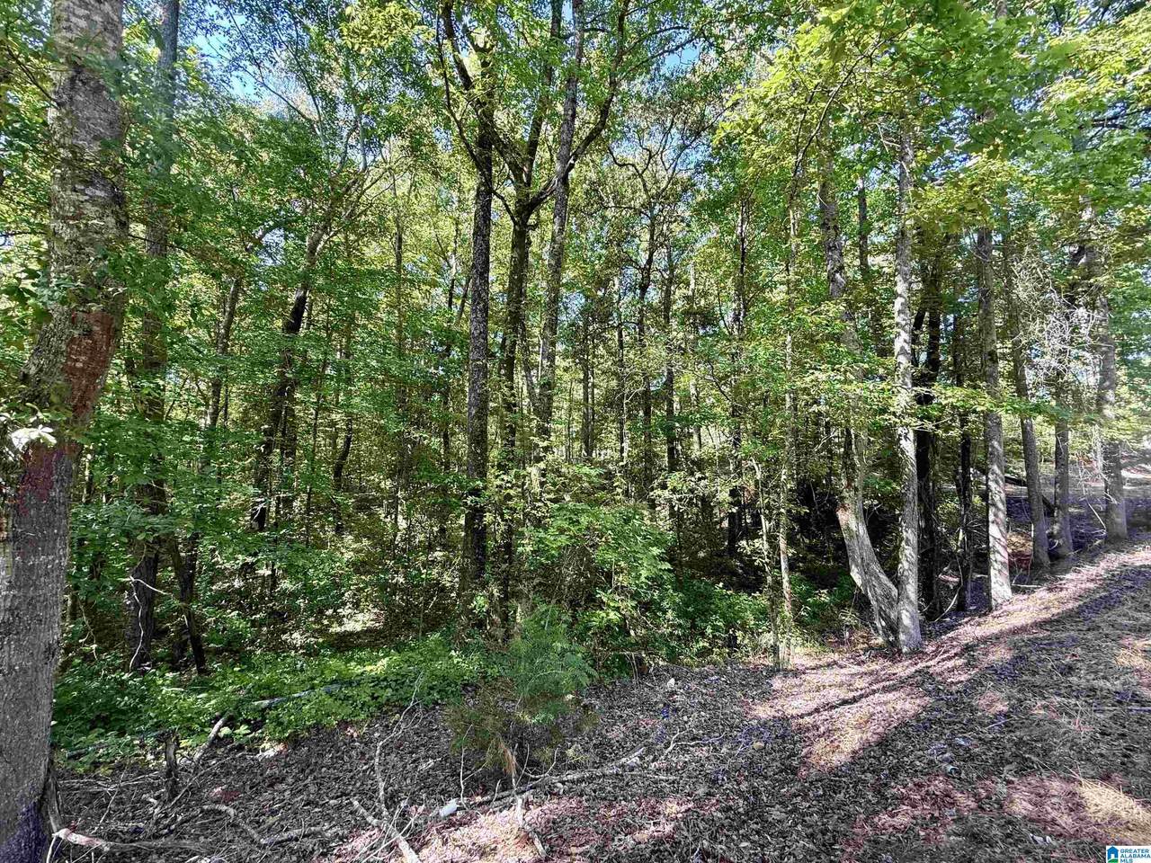 0 Settlement Road - Photo 1