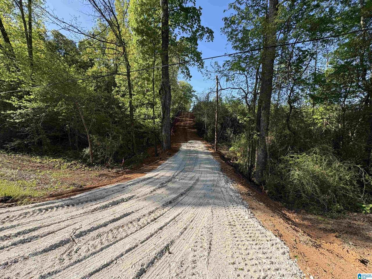 2-B Old Highway 431 - Photo 1