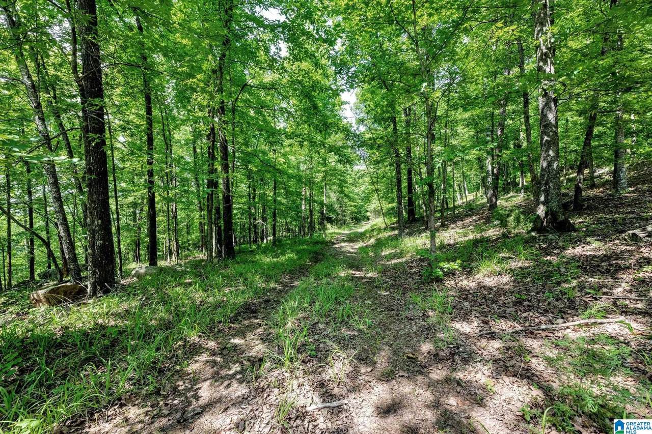 140 Hampton Lake Drive - Photo 1