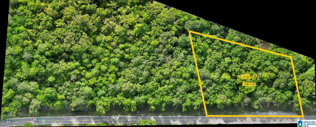 0 County Road 42 - Photo 1