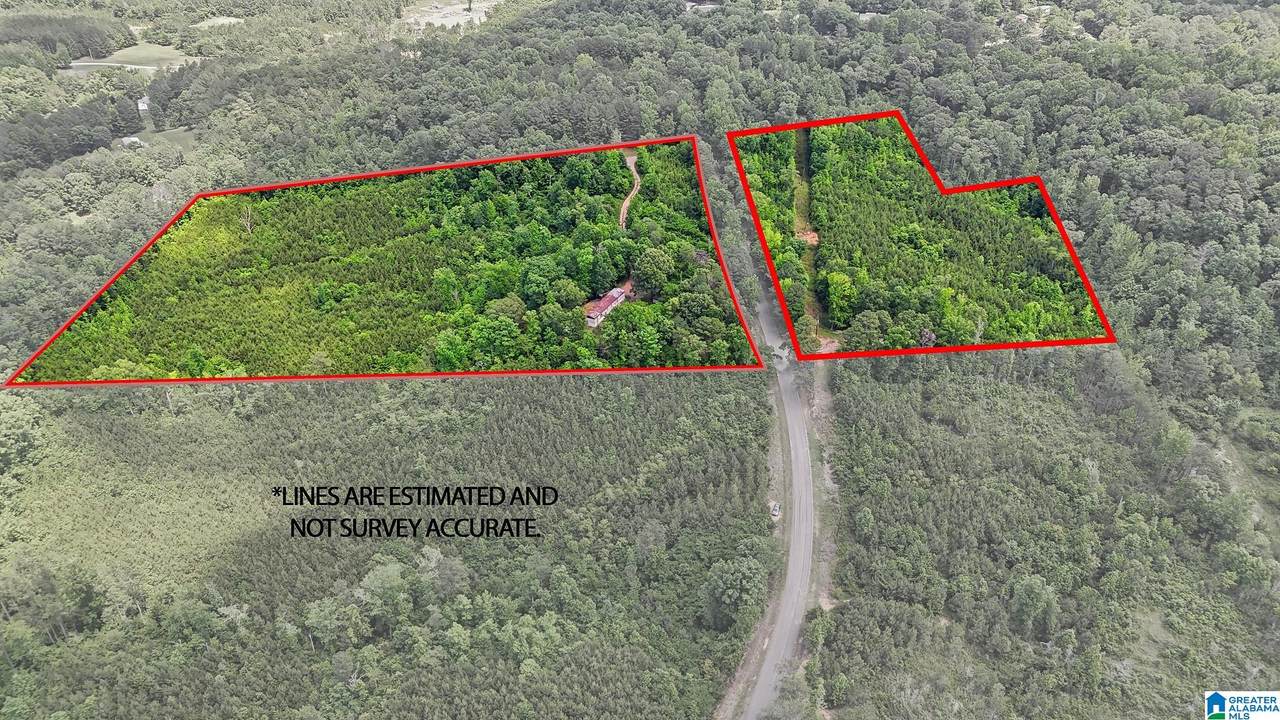851 Old Bankhead Highway - Photo 1