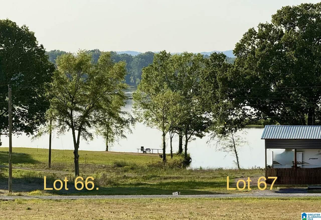 225 County Road 115 - Photo 1