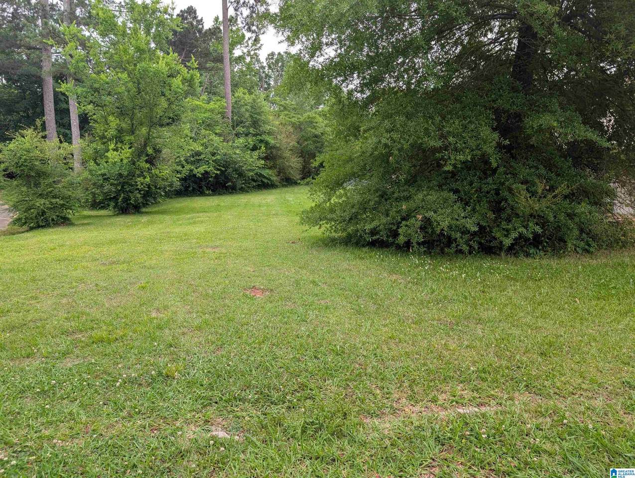 438 Elm Street - Photo 1