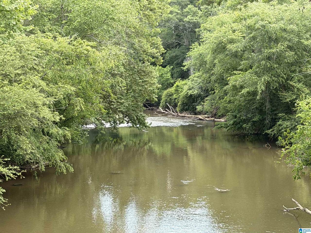 0 County Road 509 - Photo 1