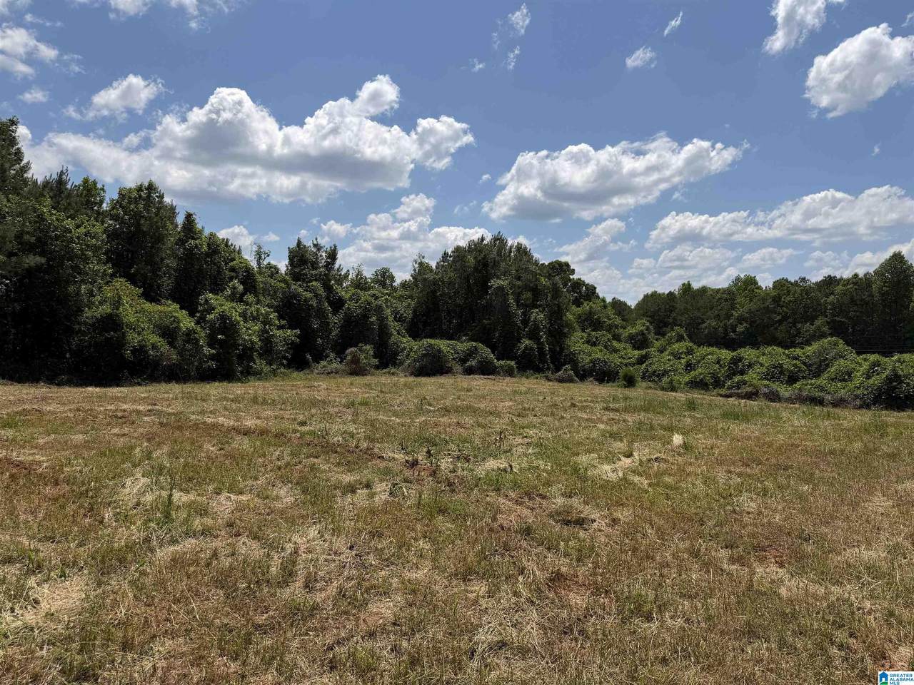 0 County Road 87 - Photo 1