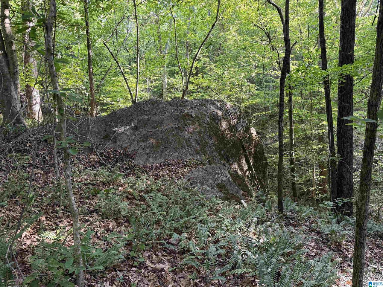 0 County Road 87 - Photo 1