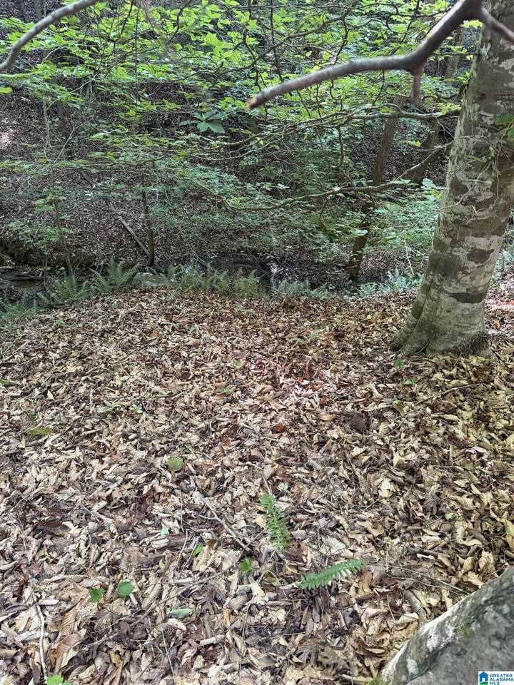 https://bt-photos.global.ssl.fastly.net/birmingham/1280_boomver_1_21453657-2.jpg