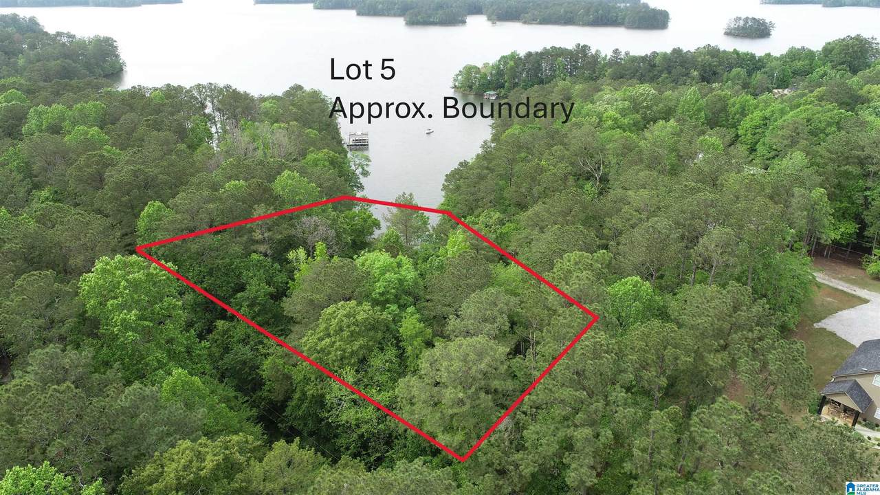 5 County Road 804 - Photo 1