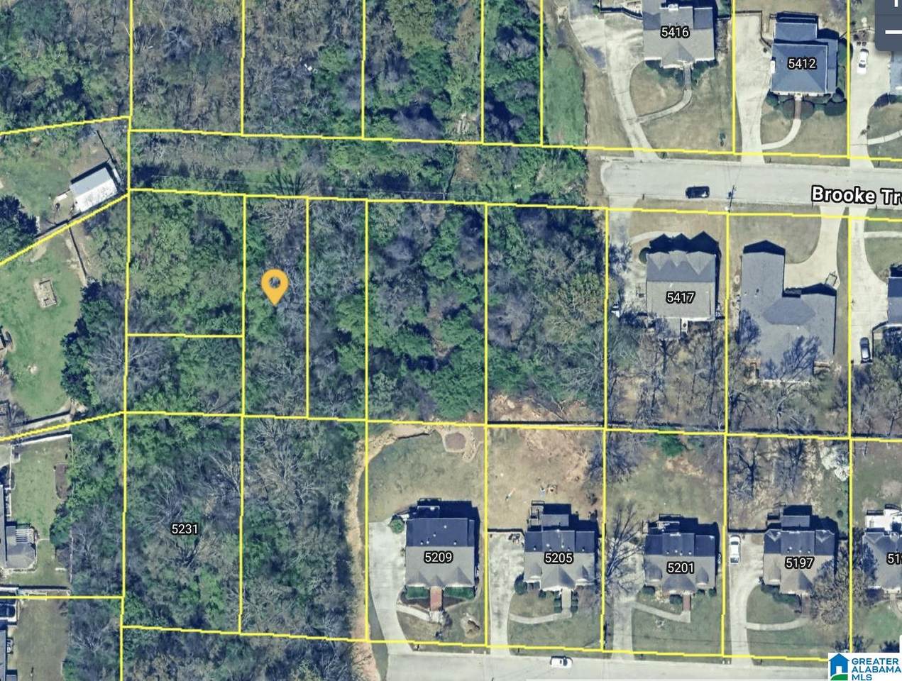  Brook Trace Drive - Photo 1