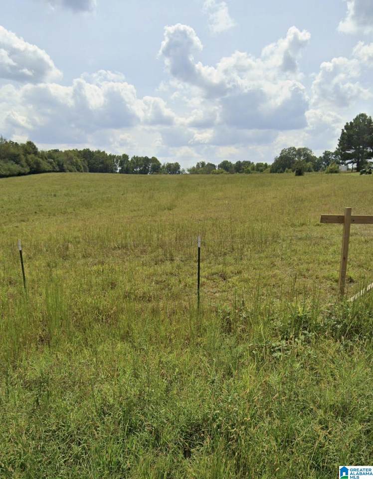  Highway 55 - Photo 1