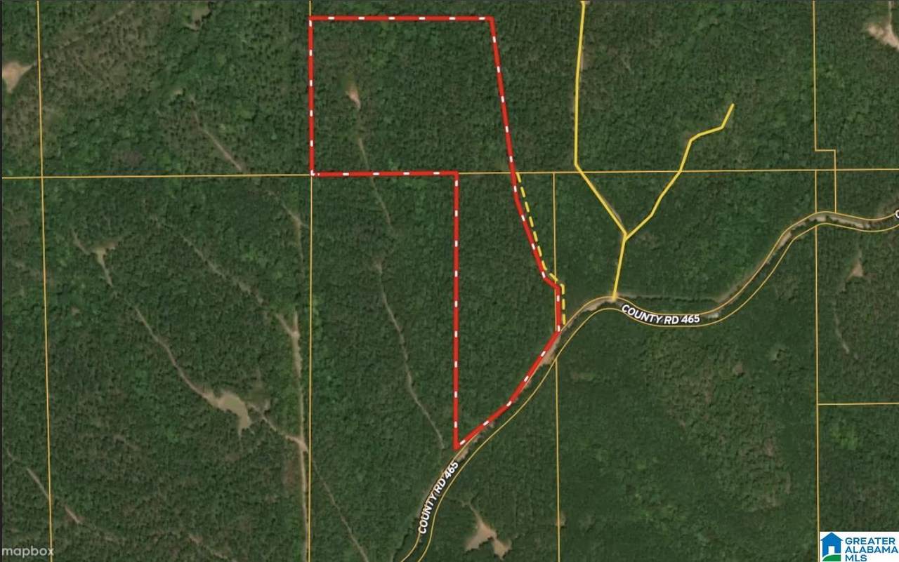 0 County Road 465 - Photo 1