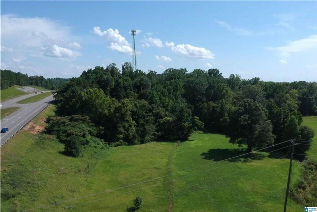 11771 Highway 69 - Photo 1