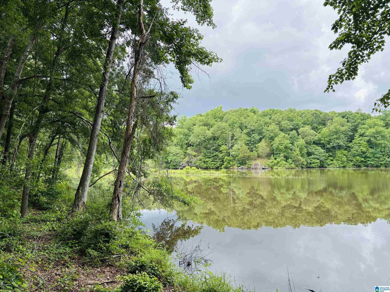 Lot 8 County Road 499 - Photo 1