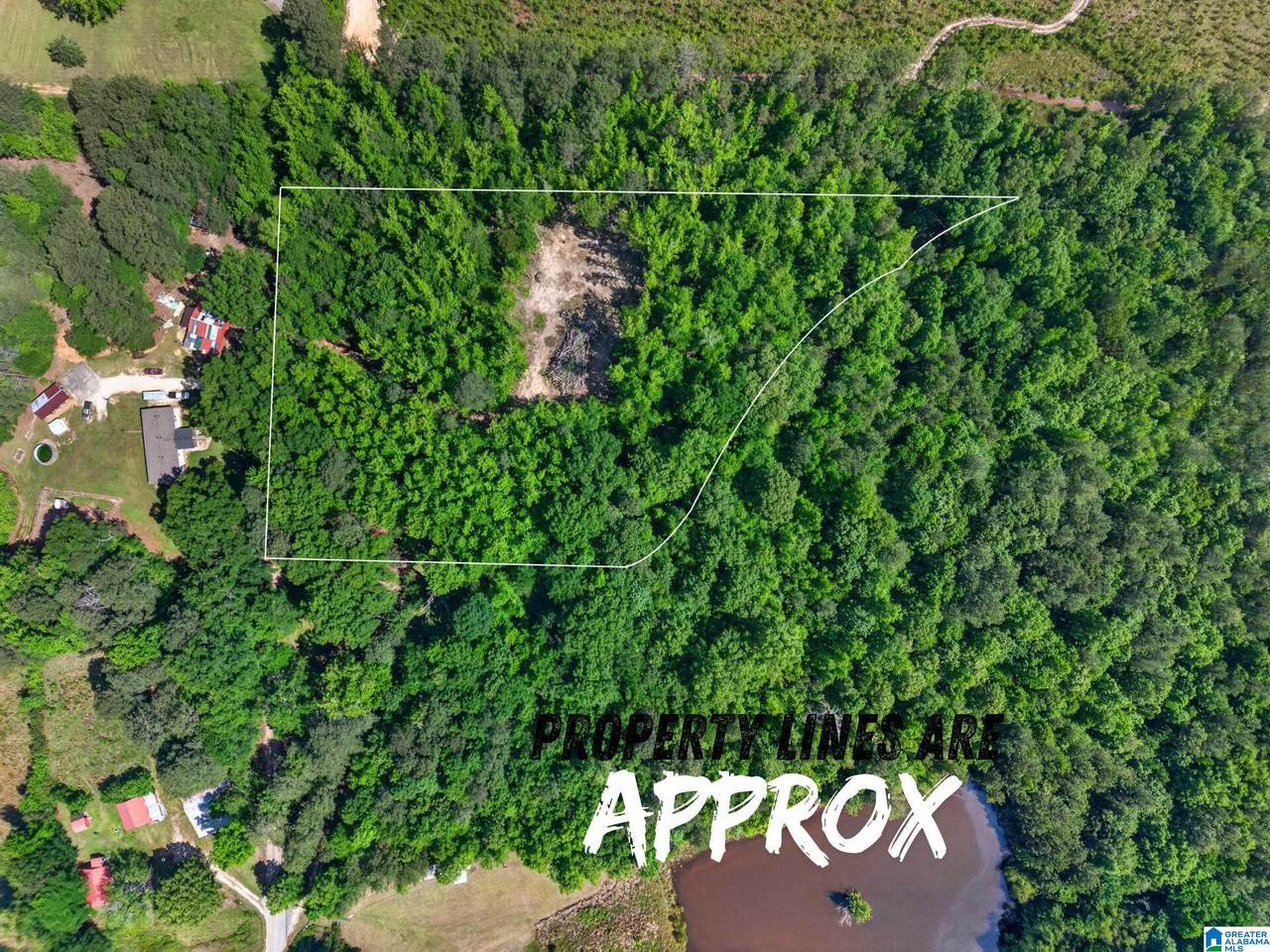 0 Pruitt Road - Photo 1