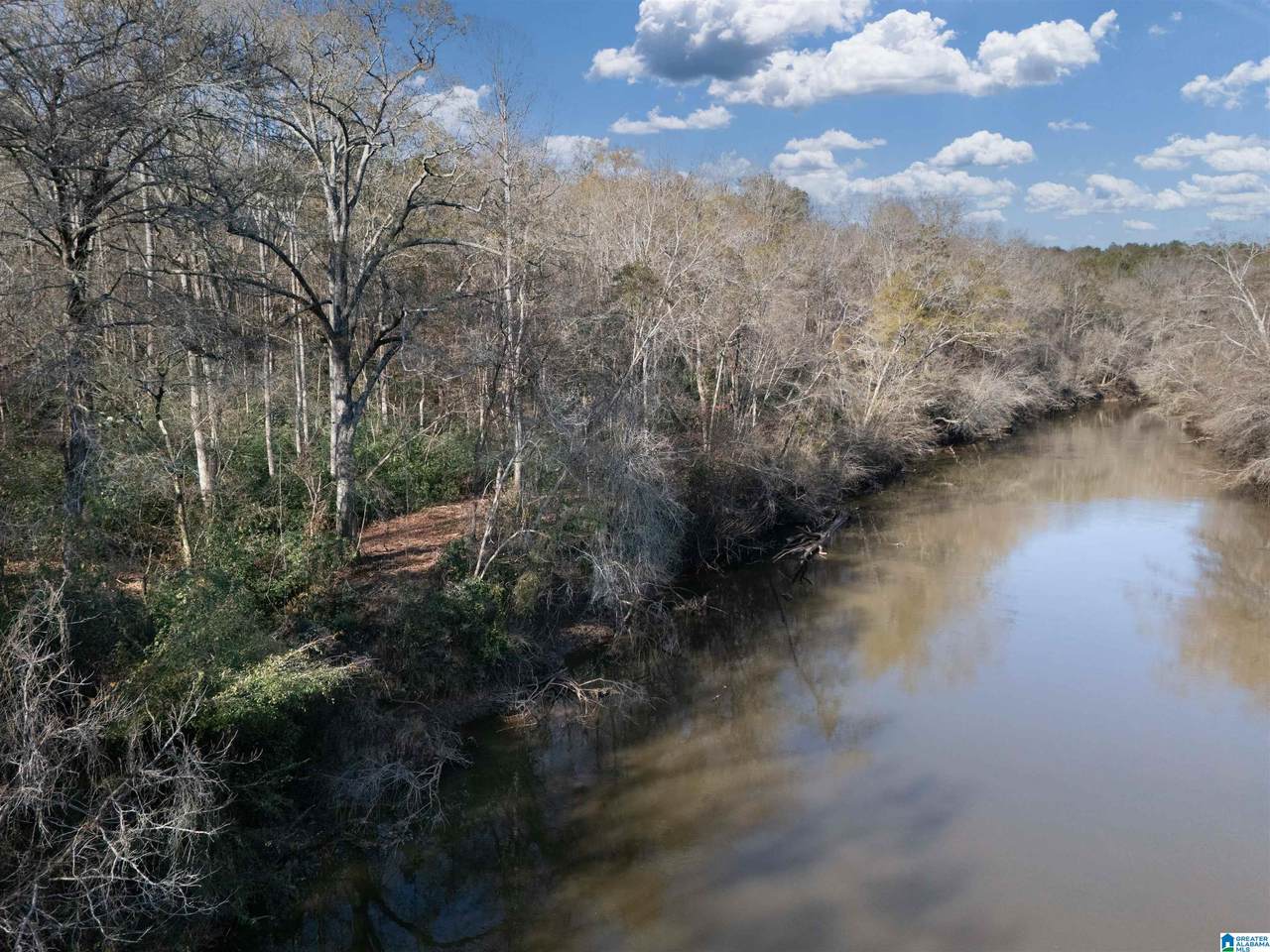 0 County Road 432 - Photo 1