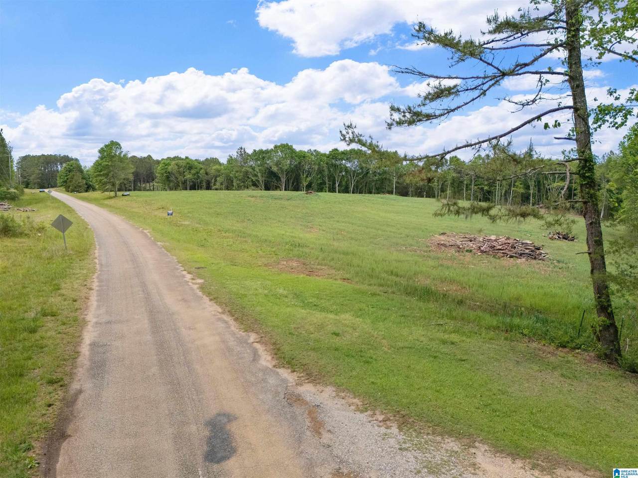 0 County Road 432 - Photo 1