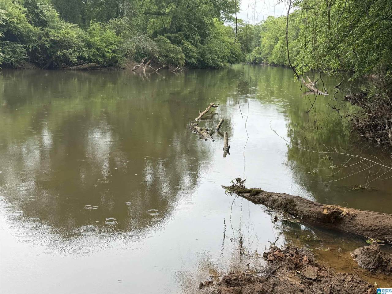 0 County Road 432 - Photo 1