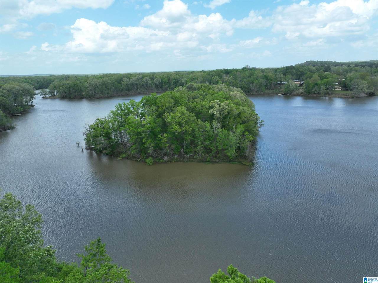 0 County Road 225 - Photo 1