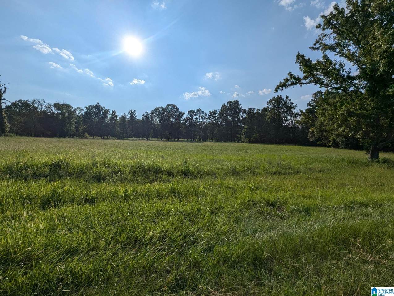 0 Poplar Springs Road - Photo 1