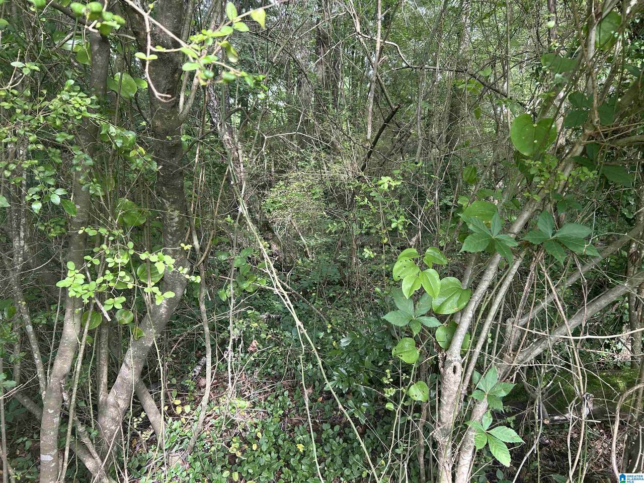 https://bt-photos.global.ssl.fastly.net/birmingham/1280_boomver_1_21454834-2.jpg