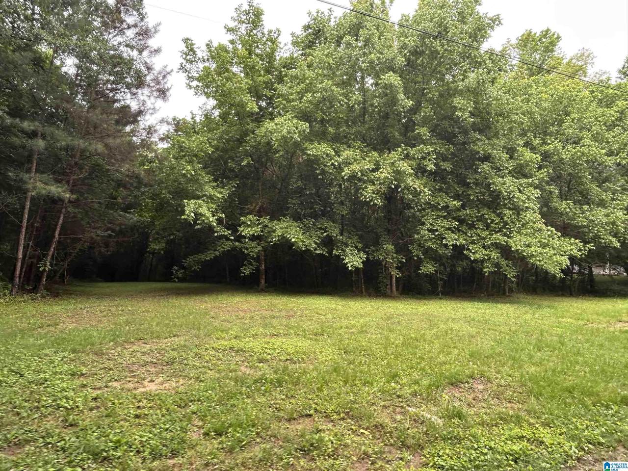 525 Poplar Lane - Photo 1