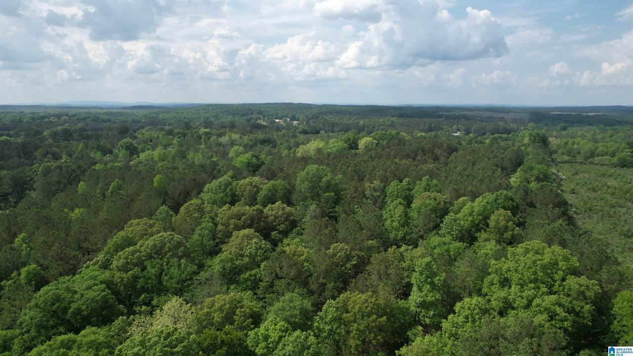 0 Armstrong Mtn Lane - Photo 1