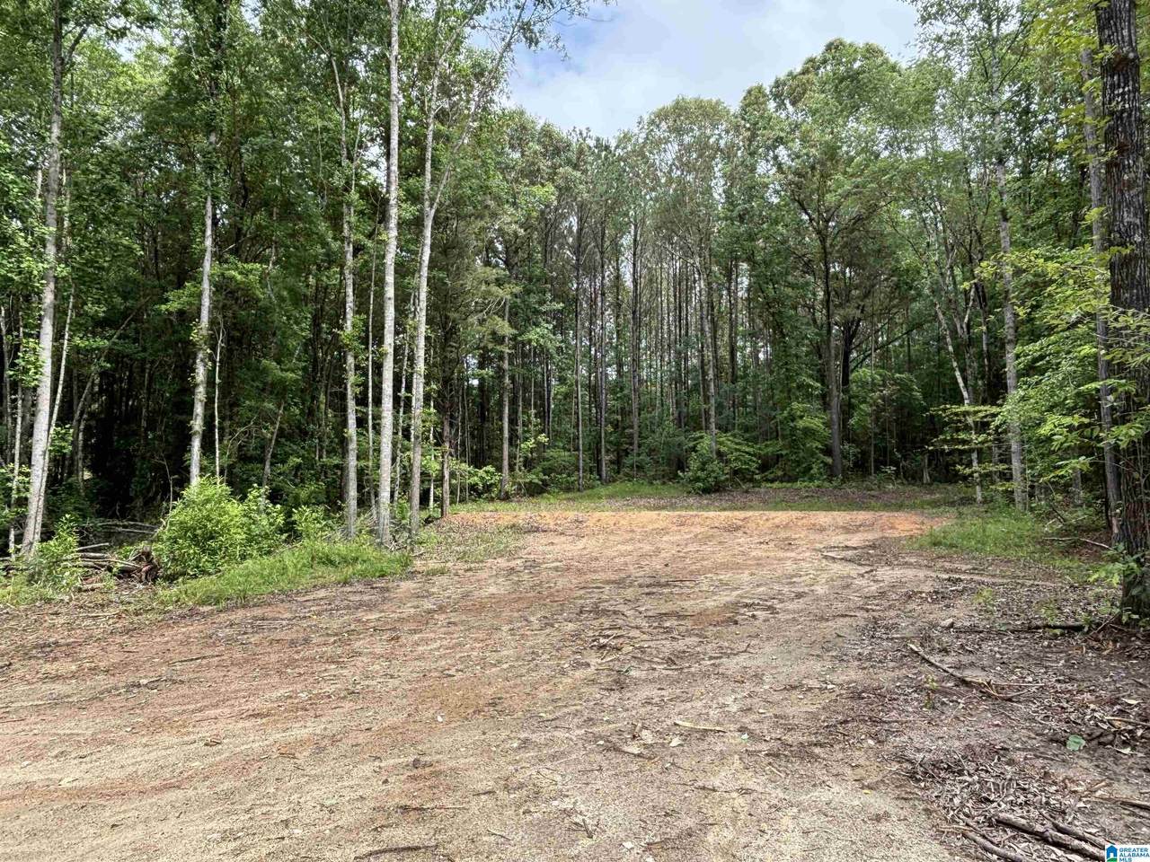 343 County Road 892 - Photo 1