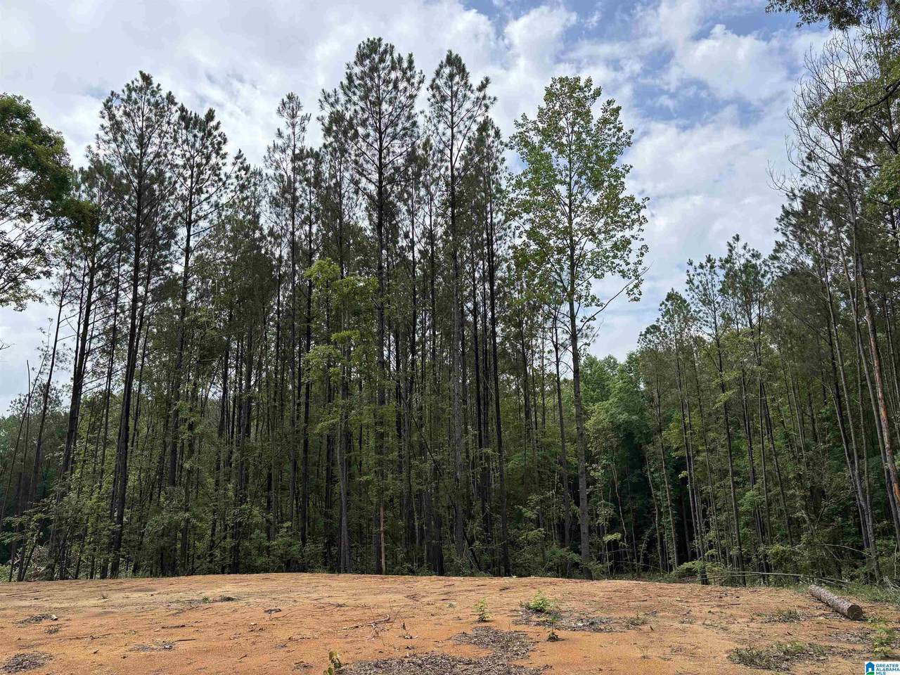 343 County Road 892 - Photo 1