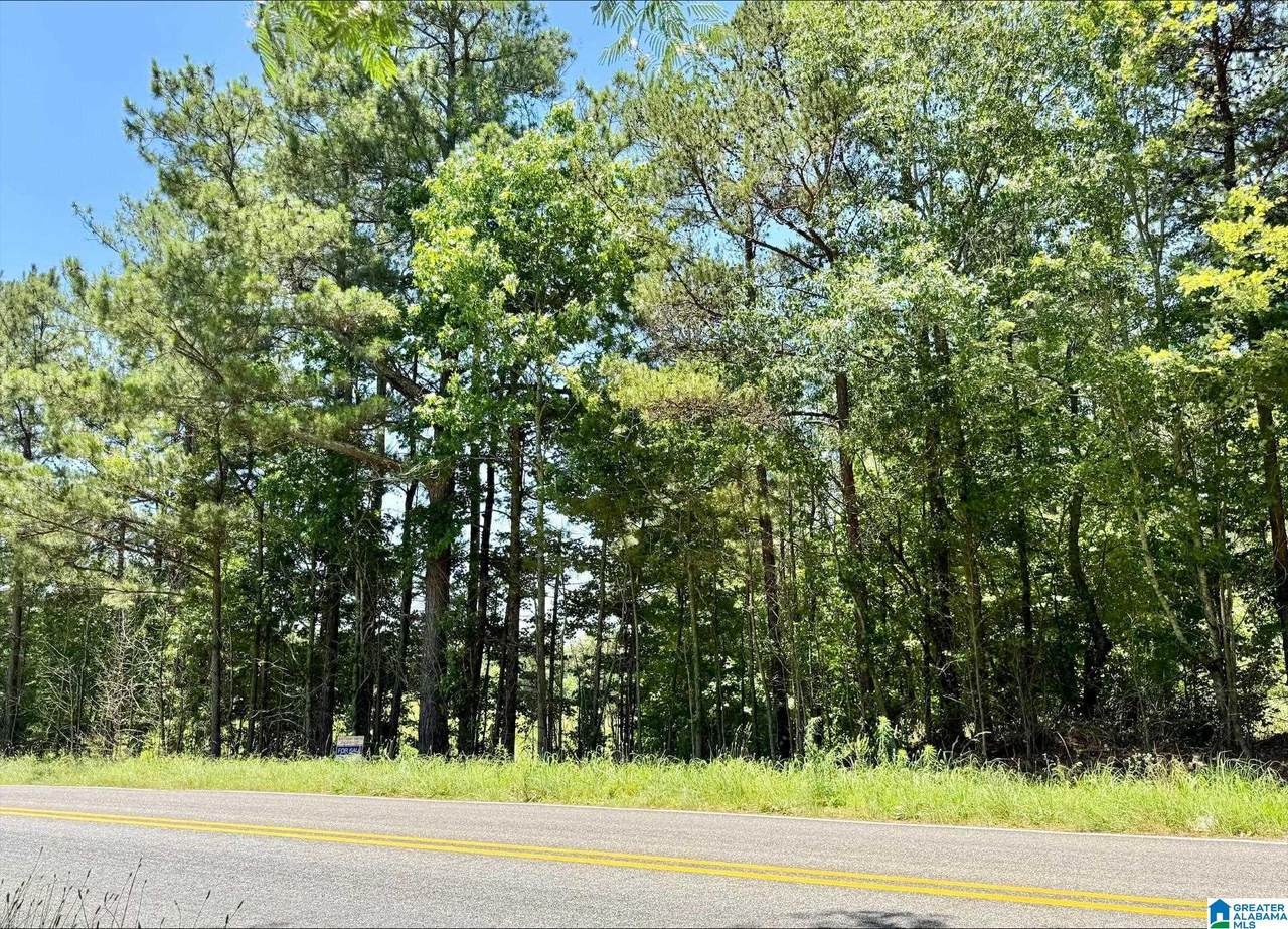 0 County Road 82 - Photo 1
