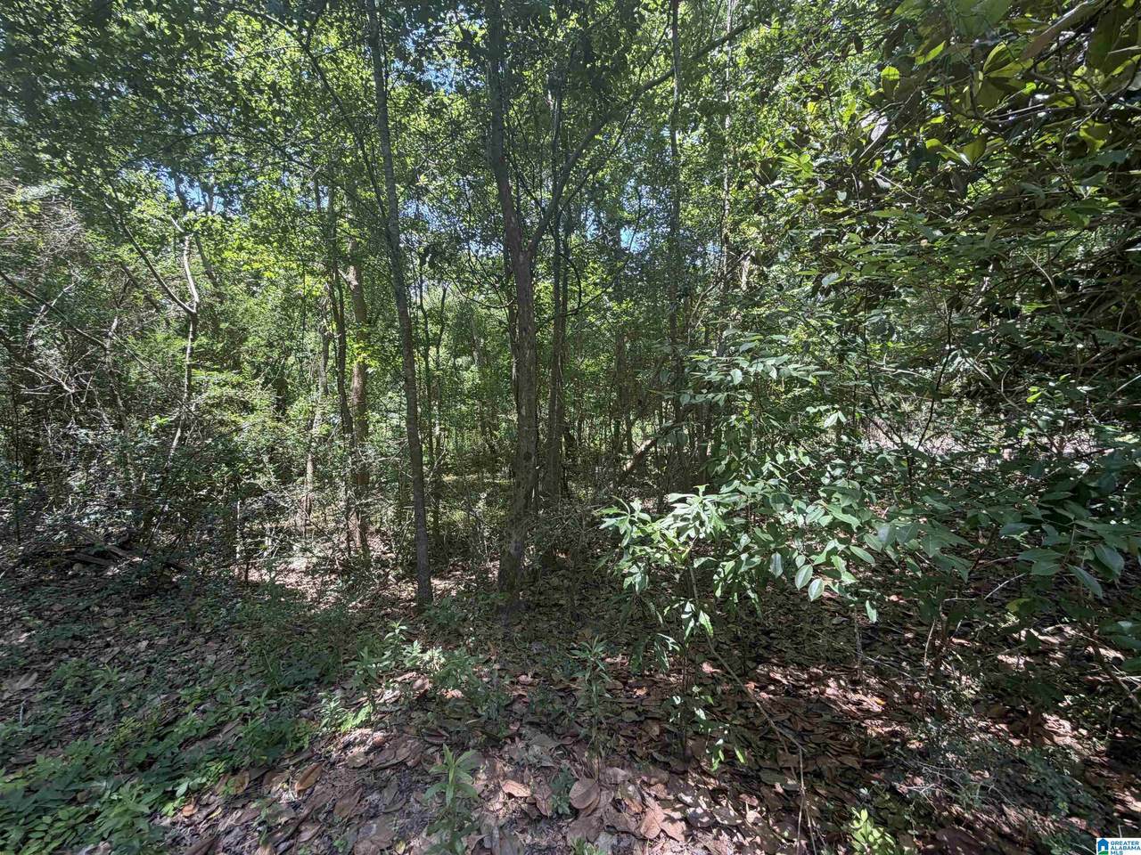 https://bt-photos.global.ssl.fastly.net/birmingham/1280_boomver_1_21455317-2.jpg