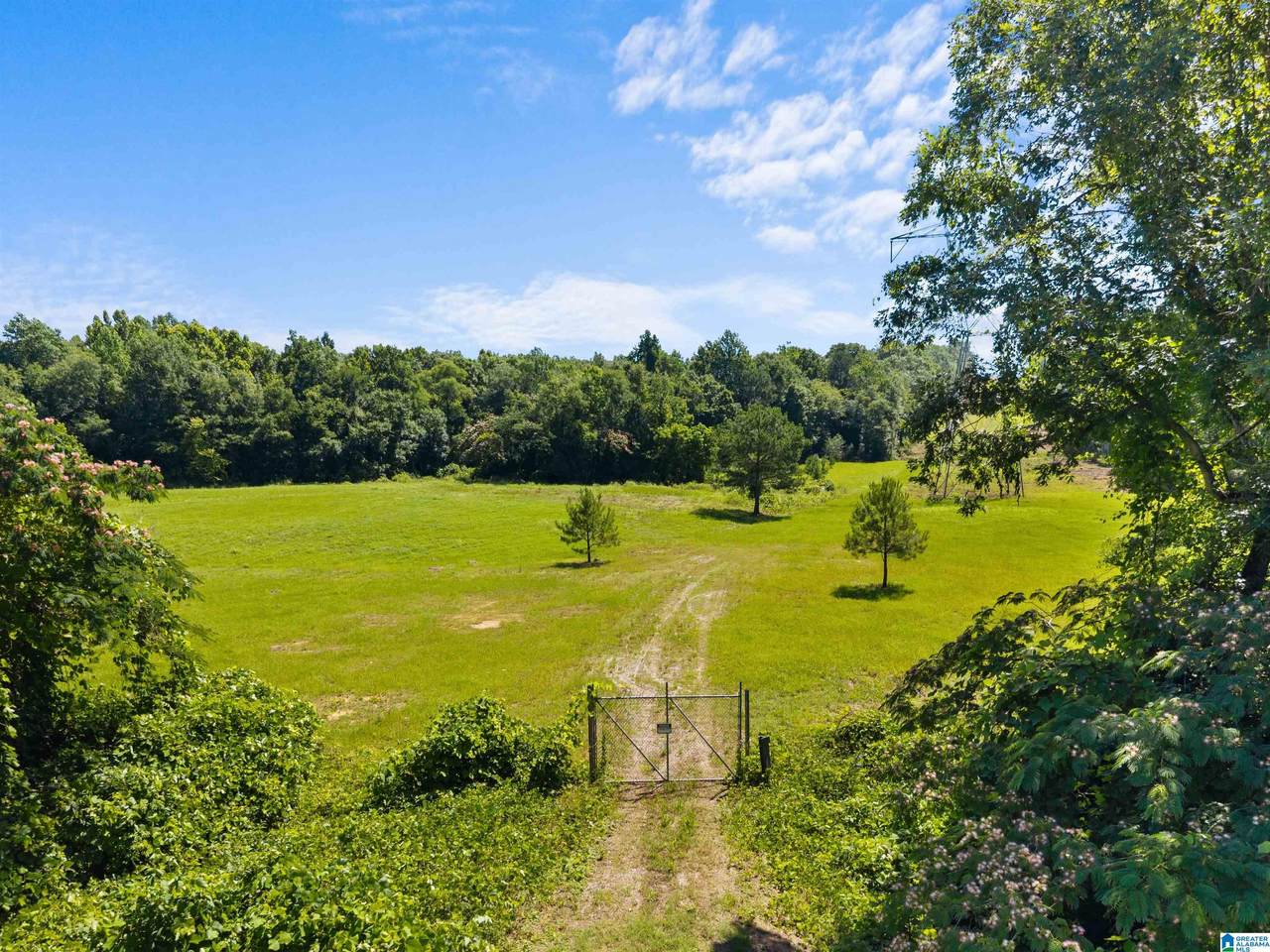 7240 Pocahontas Road - Photo 1