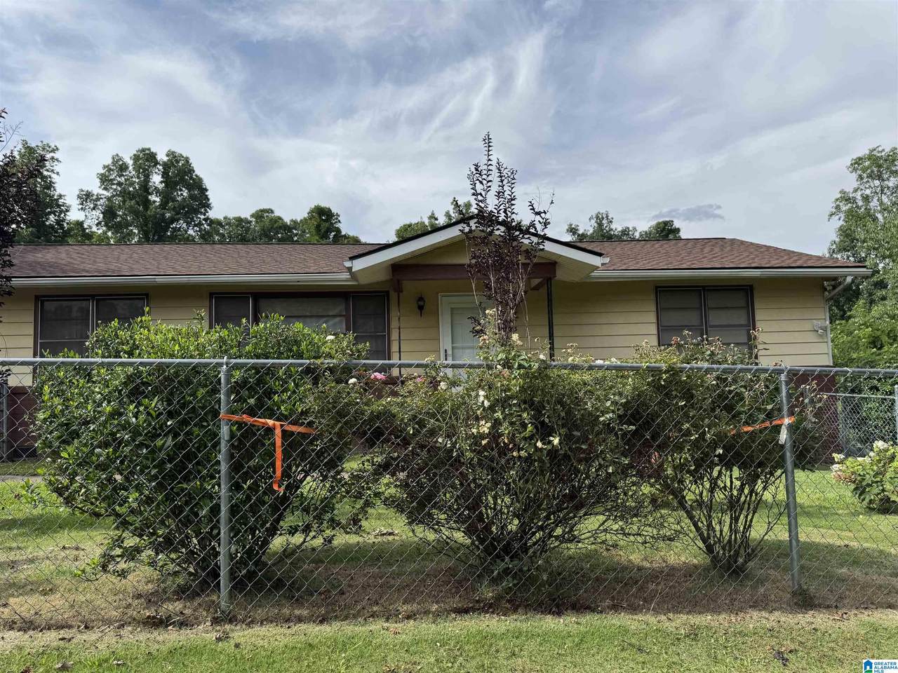 703 Dolphin Drive - Photo 1