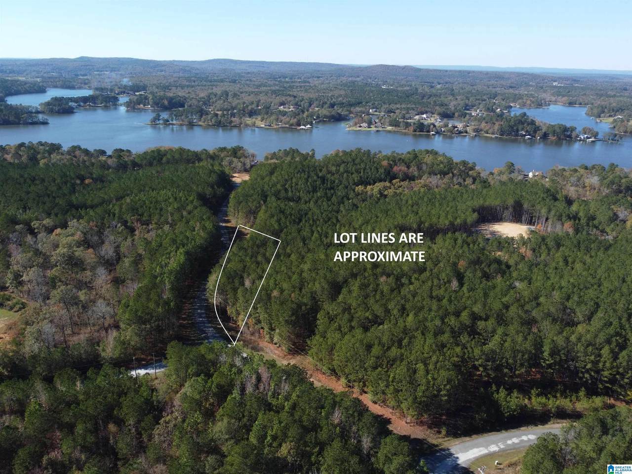 Lot 221 Shore Side Lane - Photo 1