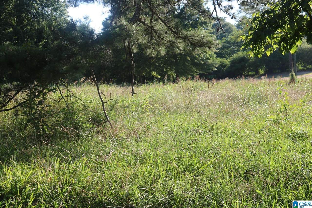 174 Poplar Springs Drive - Photo 1