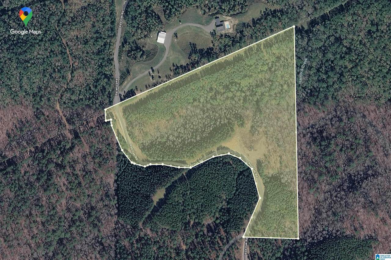 1321 Red Oak Road - Photo 1